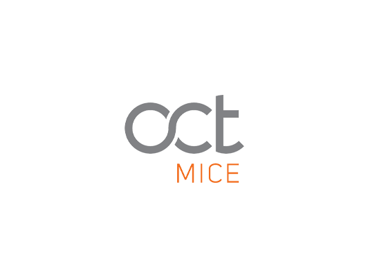 OCT Turizm ve Seyehat Acentesi Logo